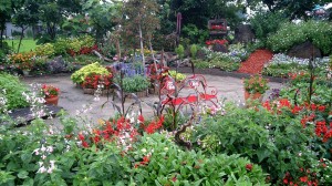 10496238_643083829103020_1241562811322602166_o