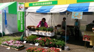 10502413_644326622312074_1578597683917428630_n