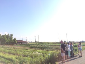 10515728_525726977528795_1608813193_o