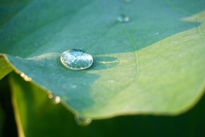 10569047_606899359431743_6898760788957320579_n