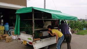 1604878_647588691985867_5992564826912786959_n