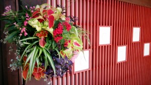 2014-07-20-12-07-12_deco