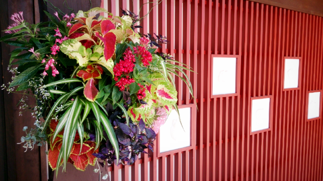 店頭の花飾り♪