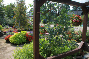 IMG_4135 - コピー