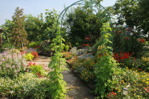 IMG_4124 - コピー