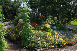 IMG_4210 - コピー