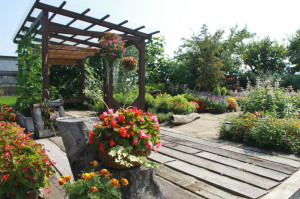 IMG_4141 - コピー