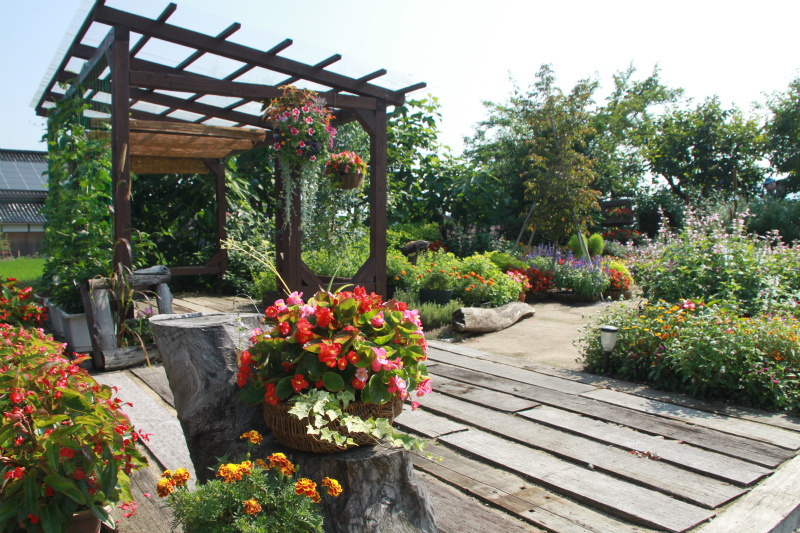 7月１５日快晴☆