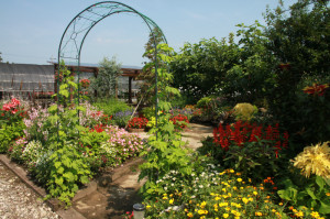 IMG_4198 - コピー