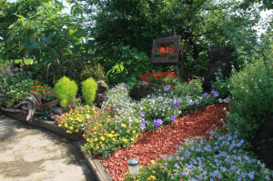 IMG_4128 - コピー