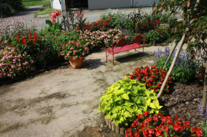 IMG_4175 - コピー