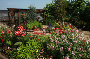 IMG_4205 - コピー