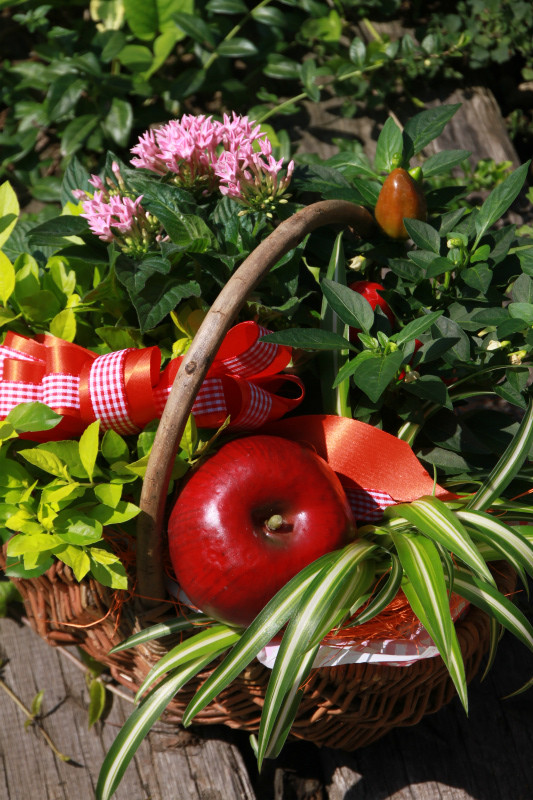 ピアノの発表会ギフト☆