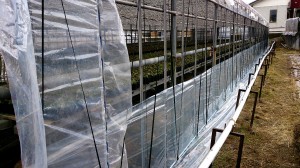 LINEcamera_share_2014-07-08-12-39-39