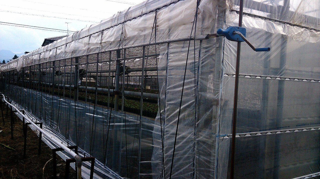 ハウス補強工事かんりょ☆