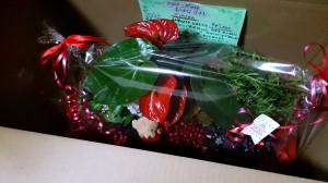 LINEcamera_share_2014-07-10-17-07-33