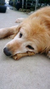 LINEcamera_share_2014-07-12-06-34-29