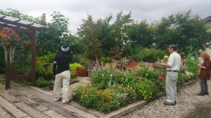 LINEcamera_share_2014-07-15-20-10-57