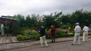 LINEcamera_share_2014-07-15-20-15-55