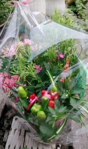 LINEcamera_share_2014-07-17-17-13-04