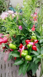 LINEcamera_share_2014-07-17-17-13-52