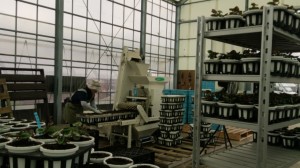 LINEcamera_share_2014-07-18-19-01-08