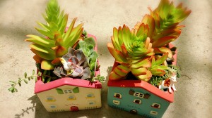 LINEcamera_share_2014-07-19-12-41-58