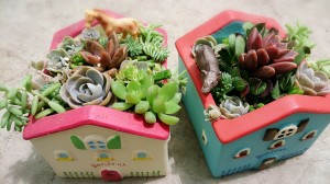 LINEcamera_share_2014-07-19-12-42-58