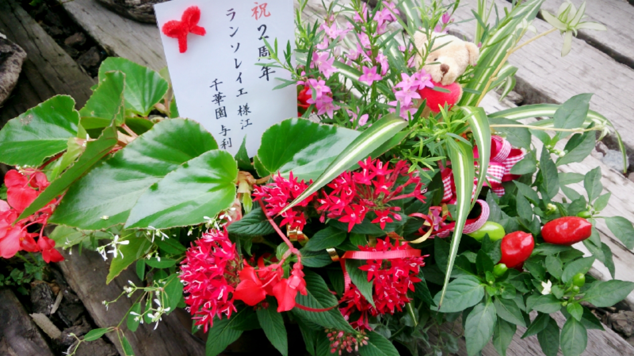 オープン２周年おめでとうございます☆