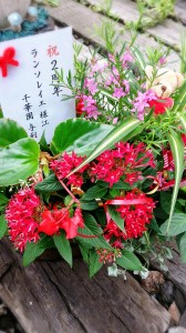 LINEcamera_share_2014-07-20-06-03-03