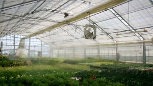 LINEcamera_share_2014-07-26-14-26-32