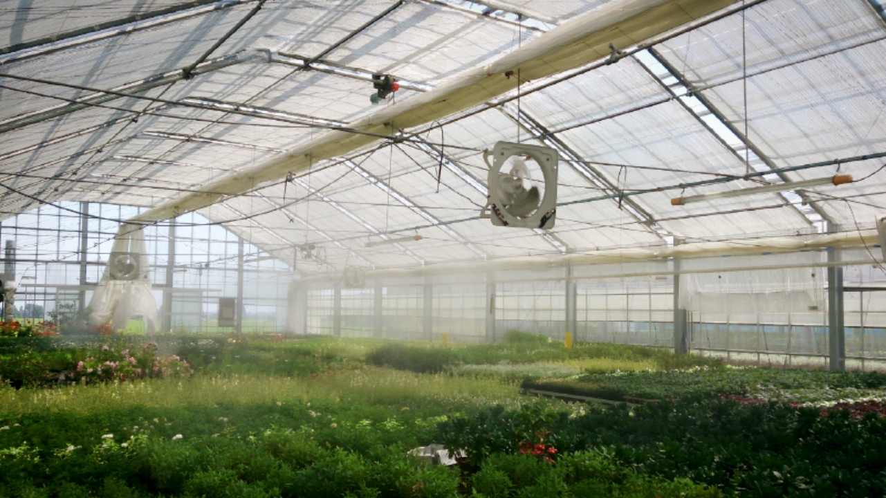 あちいいい！！