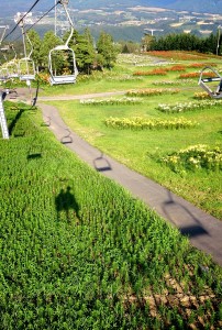 LINEcamera_share_2014-07-27-17-38-58