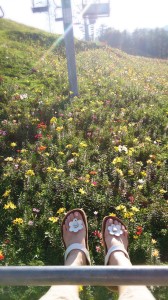 LINEcamera_share_2014-07-27-17-40-20