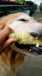 LINEcamera_share_2014-07-30-06-11-01