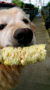 LINEcamera_share_2014-07-30-06-13-29