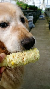 LINEcamera_share_2014-07-30-06-15-25