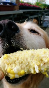 LINEcamera_share_2014-07-30-06-16-58