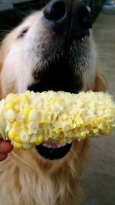 LINEcamera_share_2014-07-30-06-20-09