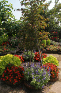 IMG_4159 - コピー