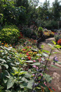 IMG_4162 - コピー