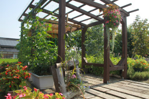 IMG_4139 - コピー