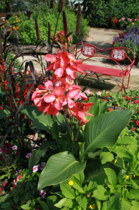 IMG_4199 - コピー