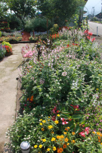 IMG_4145 - コピー