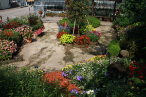 IMG_4188 - コピー