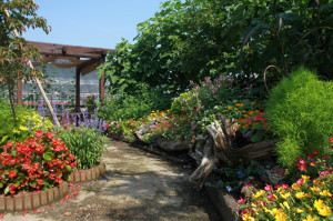 IMG_4180 - コピー