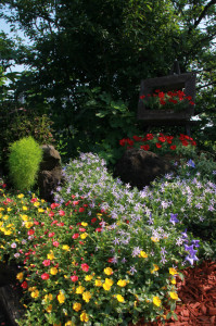 IMG_4170 - コピー