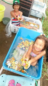 10525665_657969557614447_8070870232765691042_n