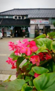 10568898_663673307044072_2838118994406387565_n