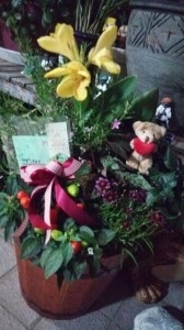 10574285_551247131647469_5565056919194832813_n